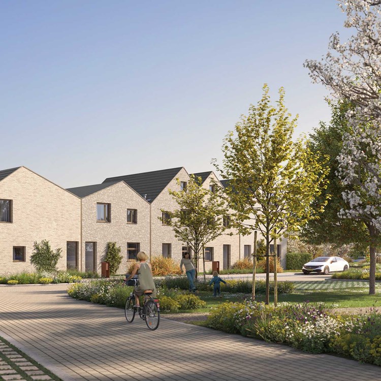 Rijwoning Kopen Hulst