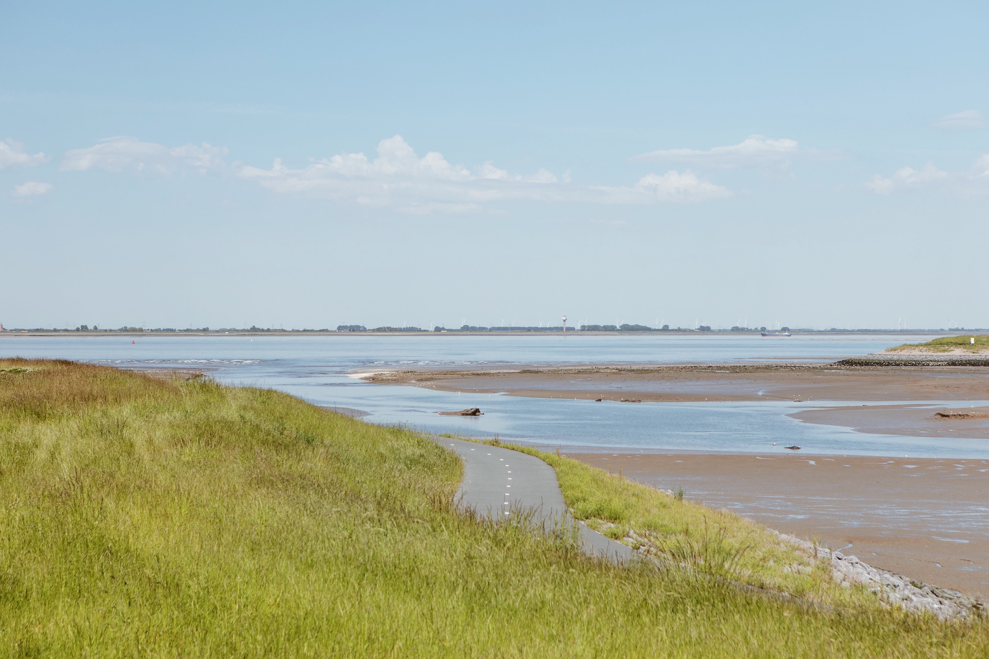 Waterzande fietsen landschap