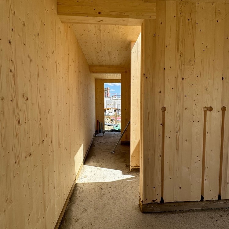 Waterzande CLT-woning te koop