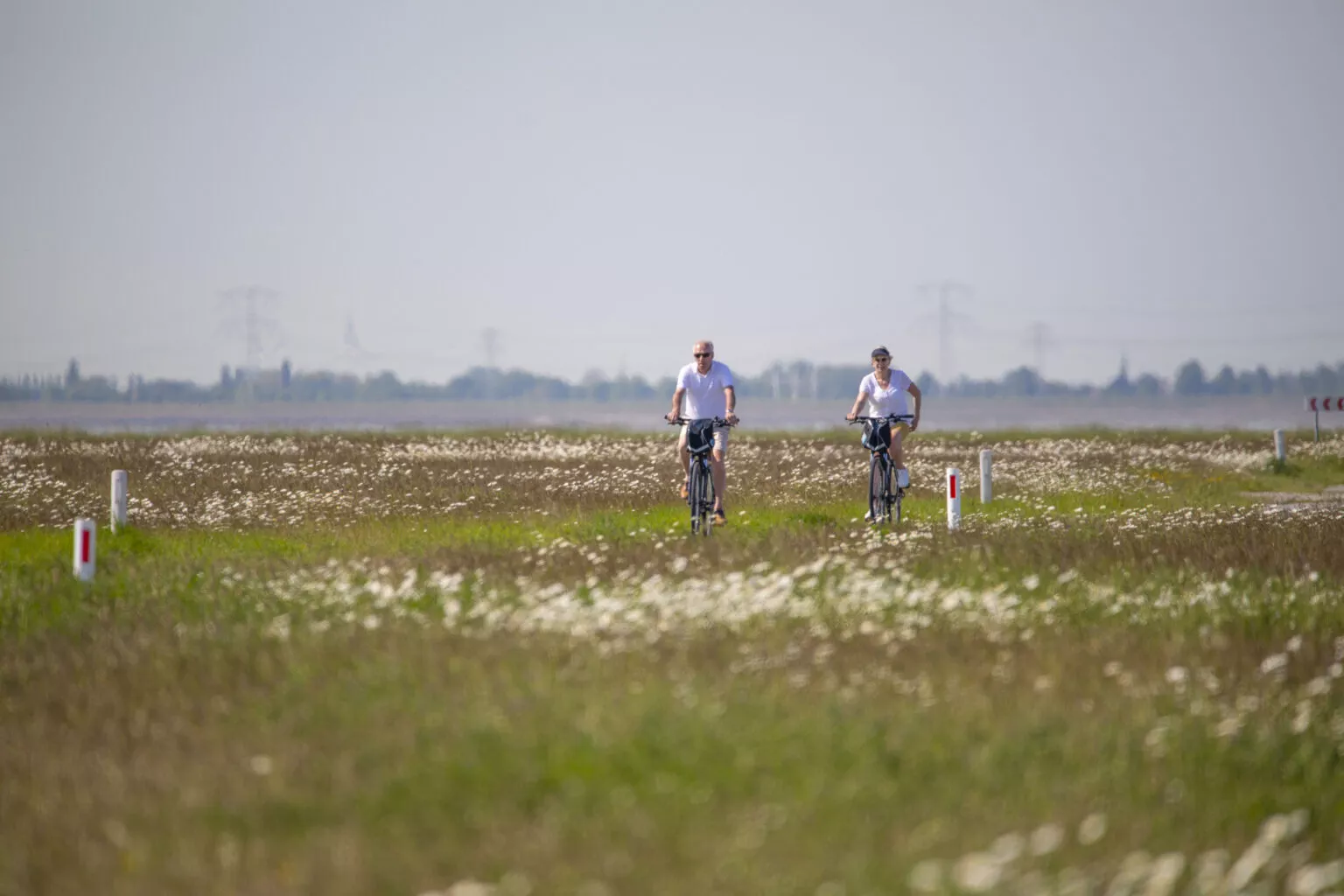 Waterzande Omgeving Natuur Fietsen