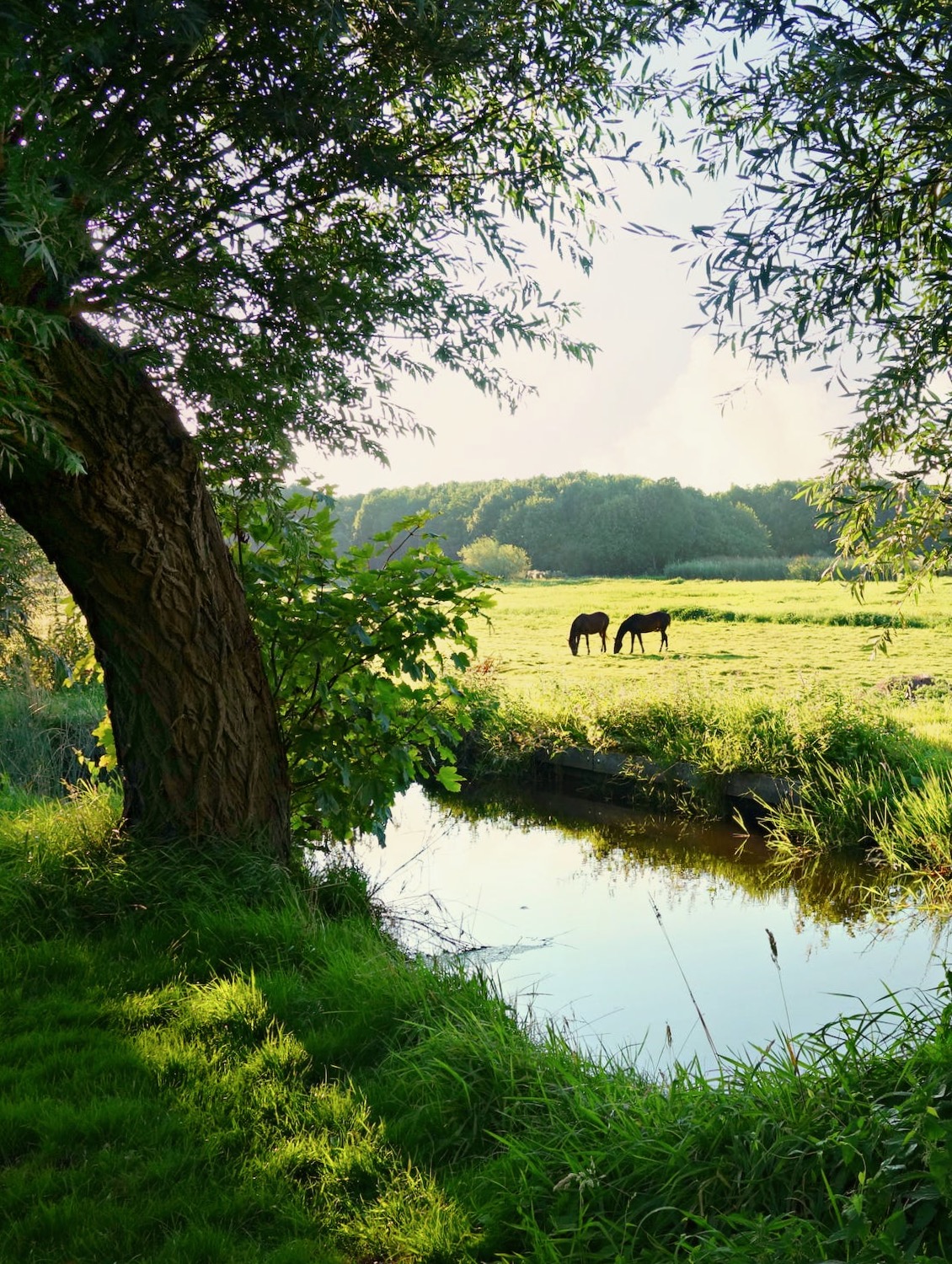Blog Zeeuws Vlaanderen Foto 1