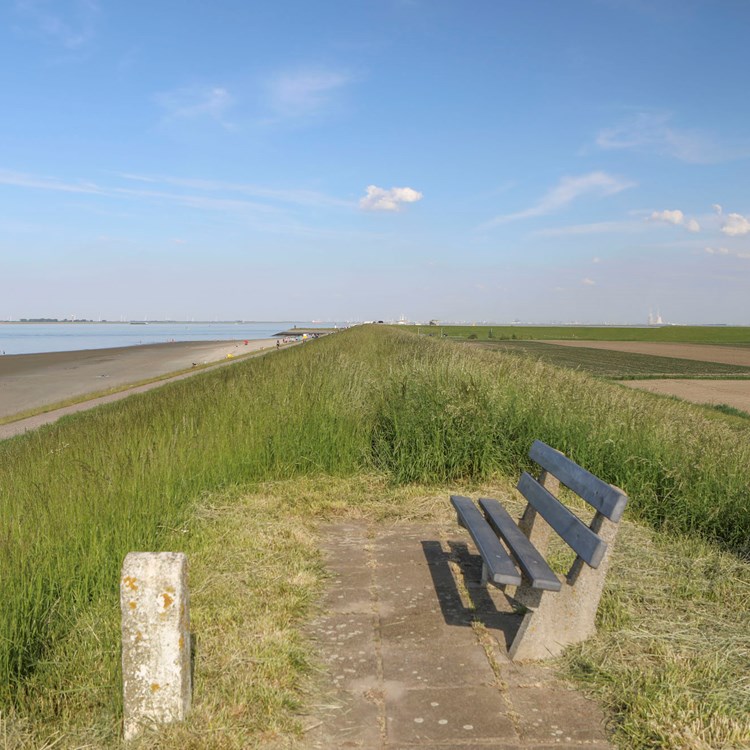 Waterzande Wandelen Bankje
