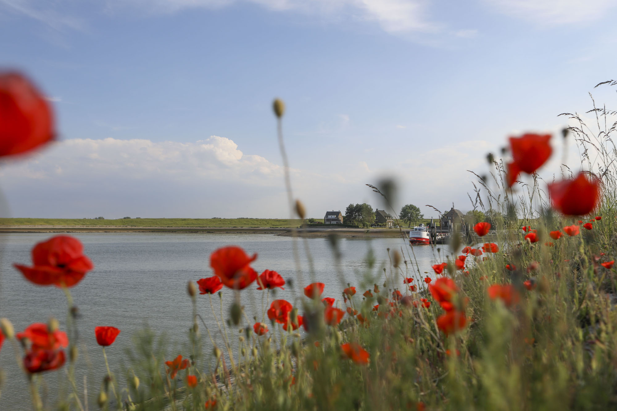 5x zomer in Waterzande